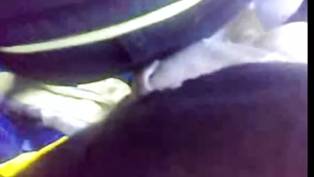 Français porn hub voiture Diane