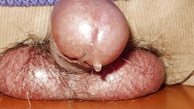 Rousse mature aux gros seins youporn en voiture baisée par un jeune étalon